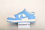 Nike Dunk Low Coast DD1503-100 - 3