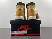Jordan 1 High Element Gore-Tex Light Curry DB2889-700 - 2