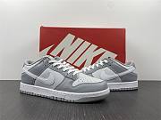 Nike Dunk Low Two Tone Grey  DJ6188-001 - 1