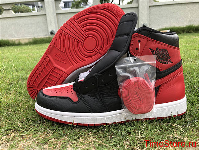 Air Jordan 1 Homage To Home 861428-061   - 1