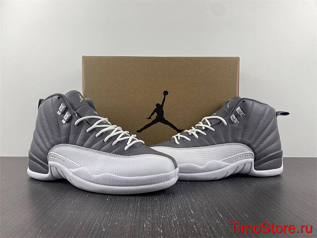 Nike Air Jordan 12 STEALTH CT8025-610 - 1