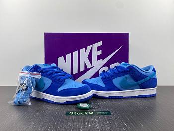 Nike SB Dunk Low Pro DM0807-400