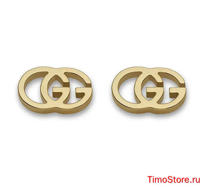 Gvcci earrings - 1