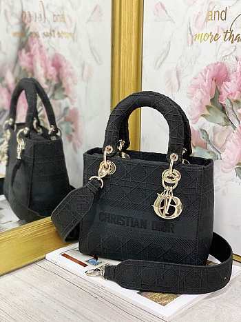 D1or Lady D-Lite Bag 24cm