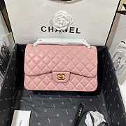 Chenne1 Classic Flap Bag Pink With Gold Hardware 30cm - 1