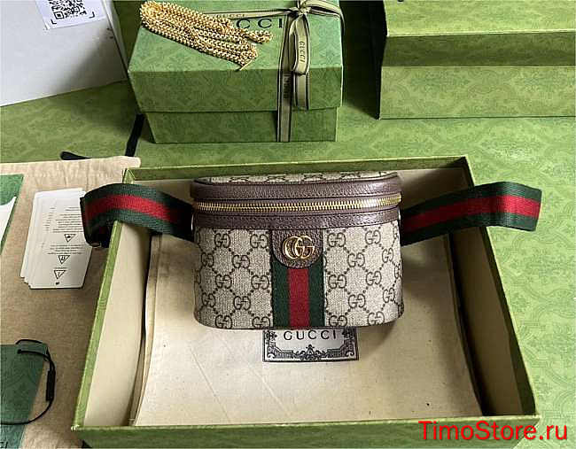 Gvcci Ophidia GG Belt Bag 18x12x6cm - 1