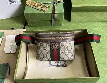 Gvcci Ophidia GG Belt Bag 18x12x6cm