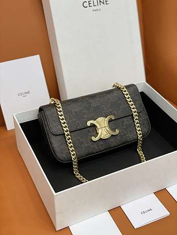 Cel1ne Triomphe Shoulder Bag 197993 Brown 20cm