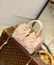 1ouis Vu1tton Speedy Bandoulière 209 20.5x13.5x12CM - 1