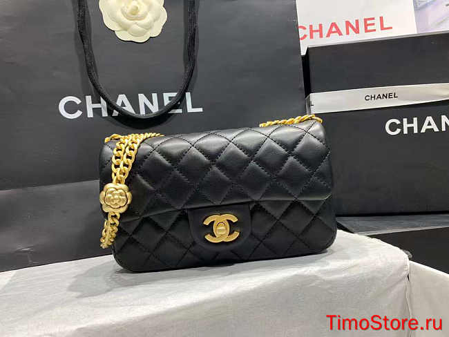 chene1 AS40418 12×20×6.5cm  - 1