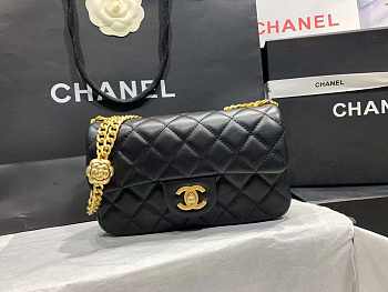 chene1 AS40418 12×20×6.5cm 