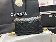 chene1 AS40418 12×20×6.5cm  - 4