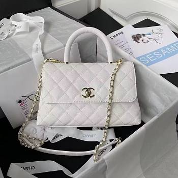 Chanel Leboy Bag 23cm