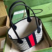 Gvcc1 Ophidia Tote  25*22*12 - 4