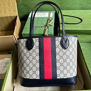 Gvcc1 Ophidia Tote  25*22*12 - 3