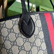 Gvcc1 Ophidia Tote  25*22*12 - 2