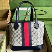Gvcc1 Ophidia Tote  25*22*12 - 1