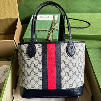 Gvcc1 Ophidia Tote  25*22*12
