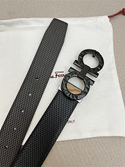 Fergammo belt - 2