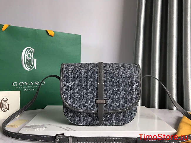 Goyard Belvedere MM Messenger Bag  21*16*6cm  - 1
