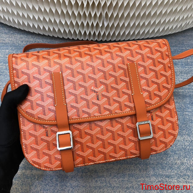 Goyard classic messenger bag Small 22x7x18cm  - 1