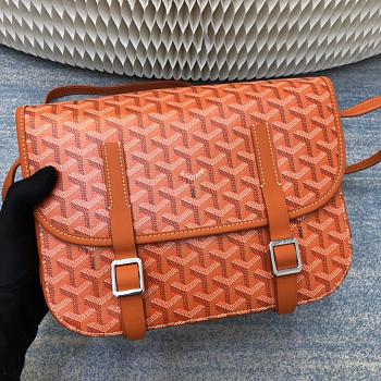 Goyard classic messenger bag Small 22x7x18cm 