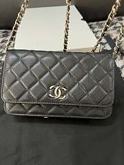 chane1 Rich bag ball pattern 19.2*12.3*3.5cm  - 1