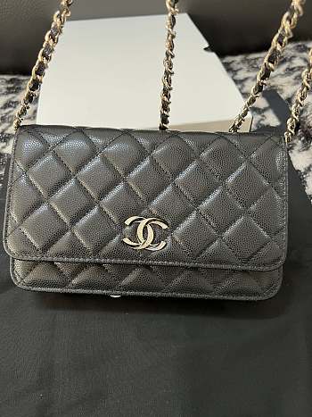 chane1 Rich bag ball pattern 19.2*12.3*3.5cm 