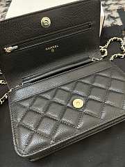 chane1 Rich bag ball pattern 19.2*12.3*3.5cm  - 3