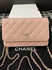 chane1 Rich bag ball pattern 19.2*12.3*3.5cm  pink  - 6