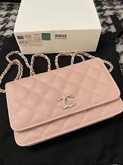 chane1 Rich bag ball pattern 19.2*12.3*3.5cm  pink  - 5