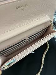 chane1 Rich bag ball pattern 19.2*12.3*3.5cm  pink  - 2