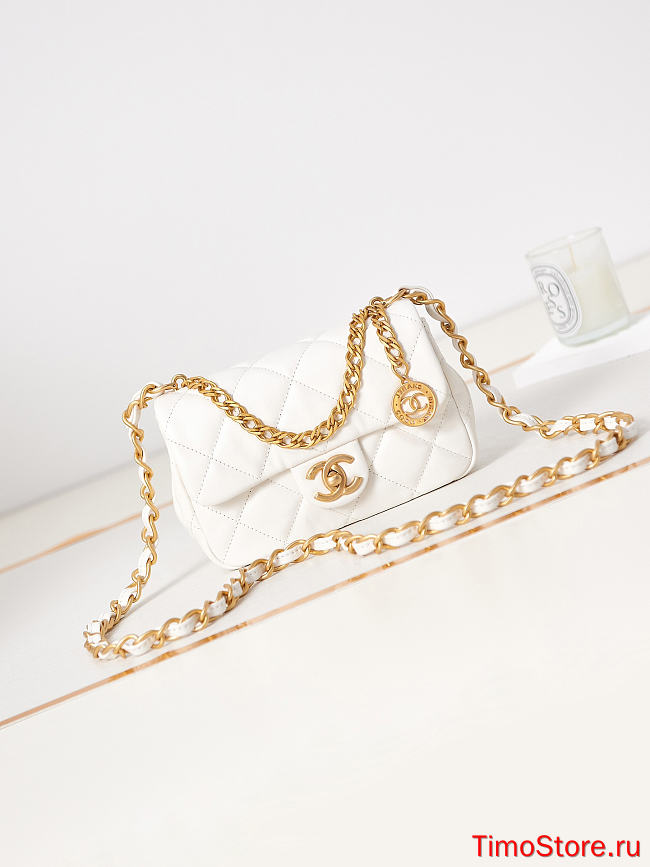 chane1  AS40129  12-21-7  white  - 1