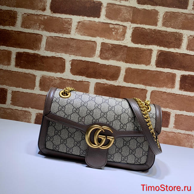 Gvcc1 443497  26*15*7   Brown - 1