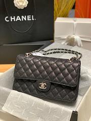 chane1  CF Bag  - 1