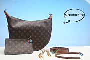 1V Loop HOBO M46311 38*30*10CM - 1