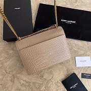 YS1 Sunset Crocodile Bag with Gold Hardware 22cm  - 4