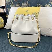 Valentino Mini Bucket Bags 20cm - 5