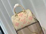 1ouis Vu1tton  M46667 Speedy Bandoulière 209 20.5 x 13.5 x 12.0  - 3
