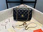 chene1 P35049 AP3504 19cm black  - 1