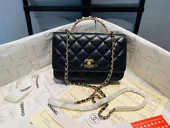 chene1 P35049 AP3504 19cm black 