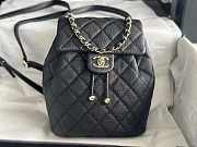 chene1  backpack 23x18x10cm - 1