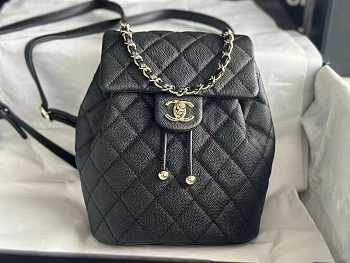 chene1  backpack 23x18x10cm