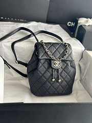 chene1  backpack 23x18x10cm - 4