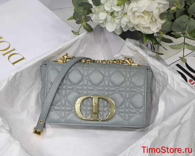 	 D1OR CARO BAG M9241U36  - 1