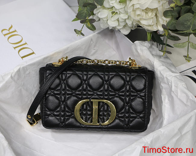 D1OR CARO BAG M9241U36  - 1