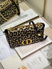D1ORR CARO BAG 130829A9  - 3