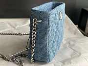 chane1  AS61569 18x20x8cm  - 4