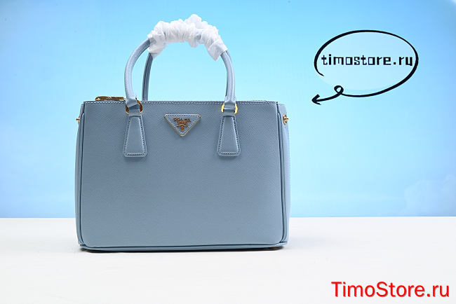 Proda hand Bag 28cm - 1