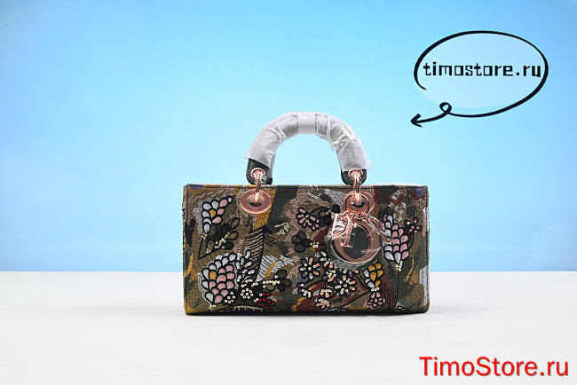 D1or  lady Bag 26CM - 1